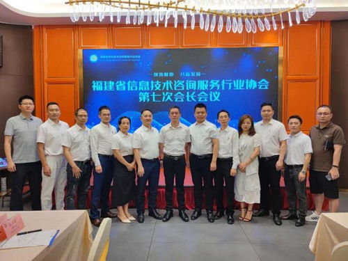 信息技术咨询服务 陈维芳会长新春致辞，展望行业未来