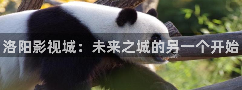 水蜜桃女孩电影：洛阳影视城：未来之城的另一个开始