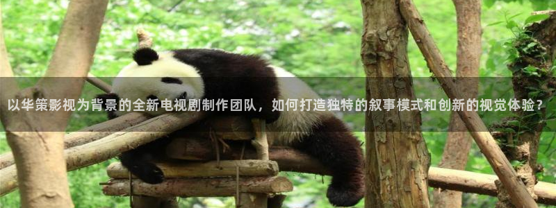 蜜桃视频,