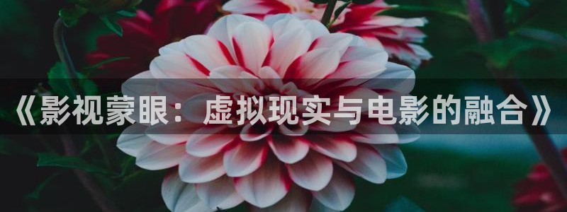 蜜桃免费观看高清电视剧