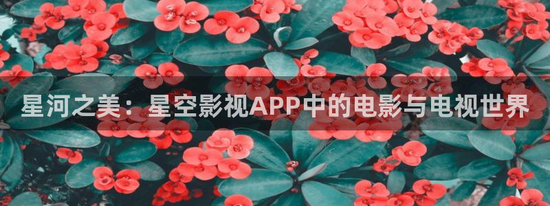 蜜桃h激情影院：星河之美：星空影视APP中的电影与电视世界