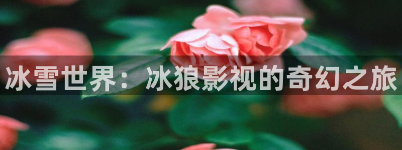 超碰在线蜜桃av