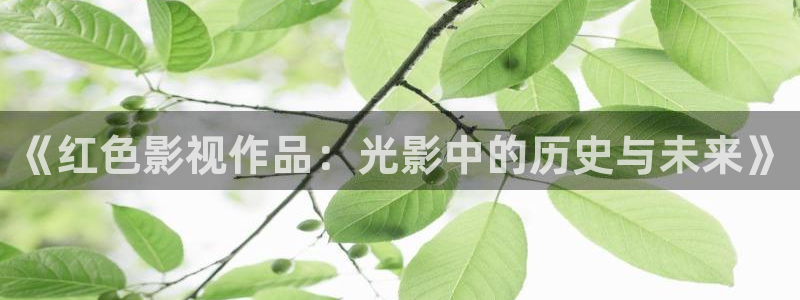 小蜜桃5电影：《红色影视作品：光影中的历史与未来》